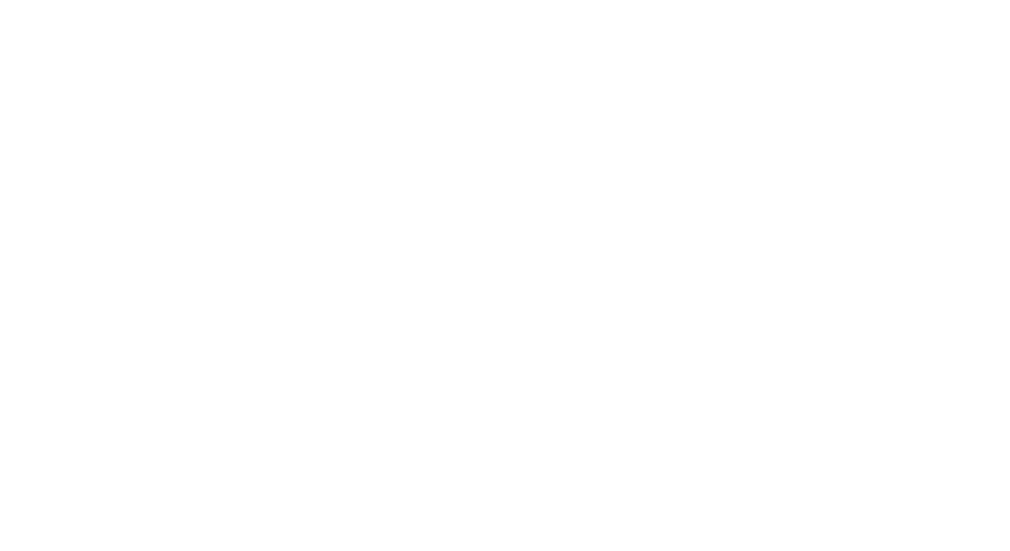 Pioneer Steel Buildings logo